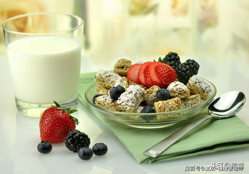 健康管理的核心 超越保健品，聚焦科學餐飲管理